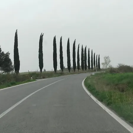 Ai 4 Gatti Asciano