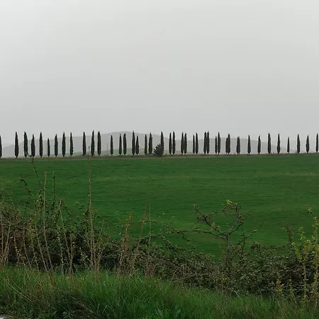 Ai 4 Gatti Asciano