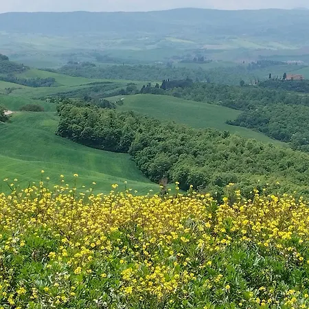 Ai 4 Gatti * Asciano